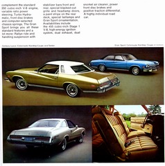 1974 Buick Century-04.jpg